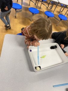 IMG_0674